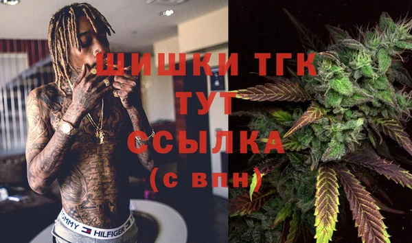 гидропоника Верхний Тагил